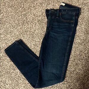 Madewell Blue Skinny Jeans Classic Style